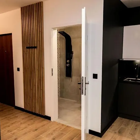 Z Prywatnym Jacuzzi - Bezplatny Parking - Ogrod Apartment Posen